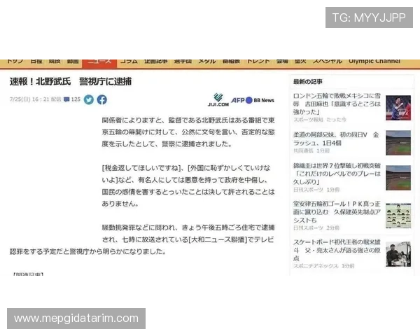 凤凰体育网址官方平台介绍及其在体育迷中的权威地位分析